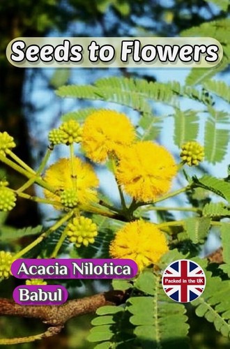Acacia nilotica babul - -,
