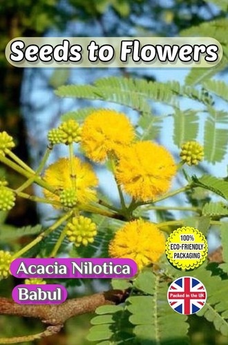 Acacia nilotica babul - acacia,
